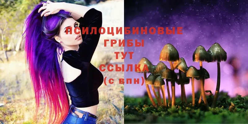 мега ONION  Мыски  Псилоцибиновые грибы Magic Shrooms 